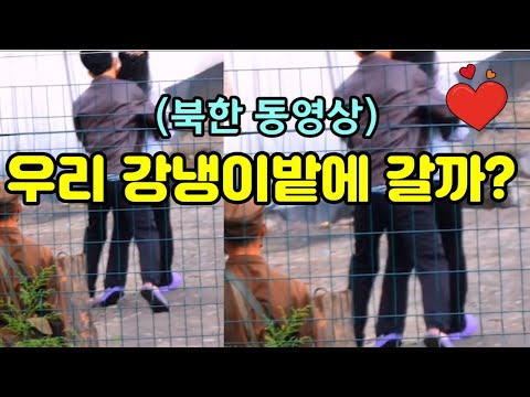 모텔없는 북한.남여 길거리 애정행각 포착 (북한 동영상)