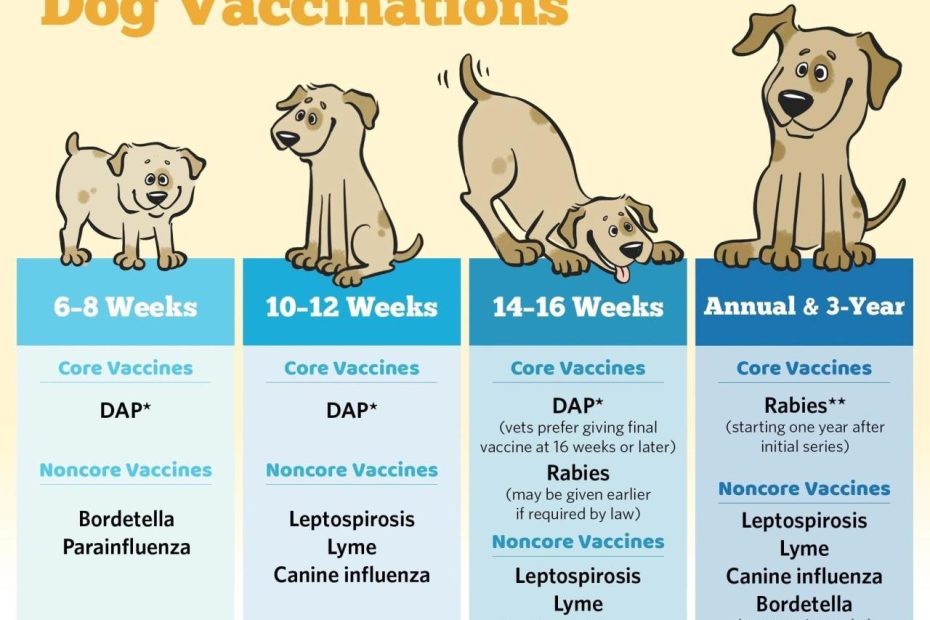 Vaccine Schedule And Flea Product
