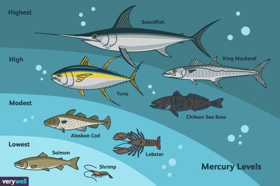 Mercury In Fish: How To Choose Safer Seafood