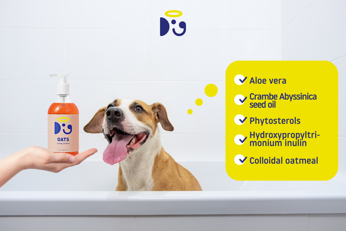 The Most Toxic Ingredients In Dog Shampoo And How To Avoid Them – Doglyness