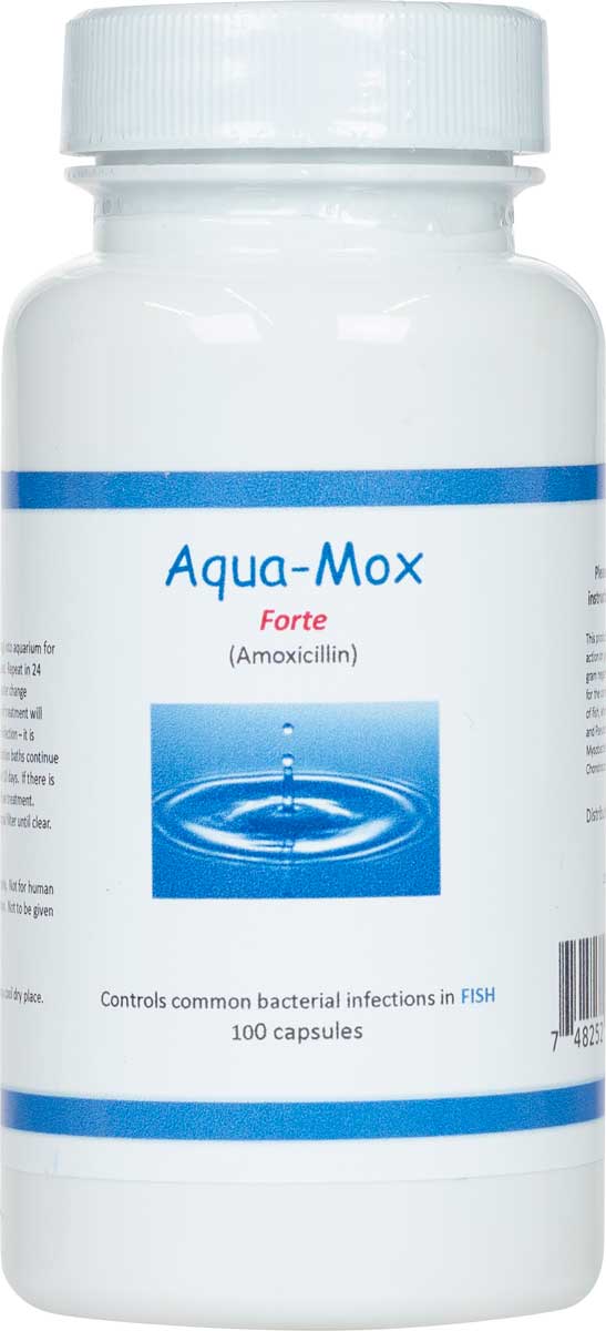 Aqua-Mox Forte Fish Antibiotic Brand May Vary - Pet Antibiotics | Pet