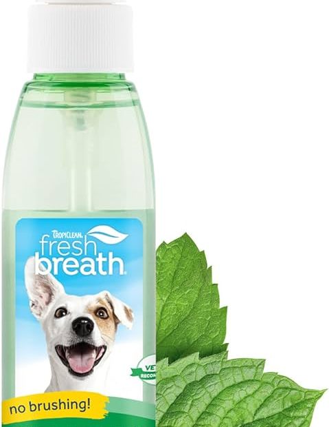 Amazon.Com : Tropiclean Fresh Breath Spray For Dogs & Cats | Travel-Ready  Dog Breath Freshener Spray | Made In The Usa | 4 Oz. : Pet Supplies
