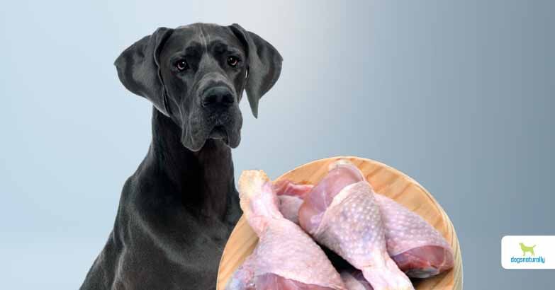 Raw Chicken For Dogs: Why I Stopped Feeding It - Dogs Naturally