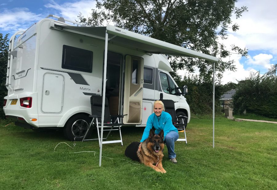 How Can I Secure My Dog In A Motorhome? Archives - Here We Tow