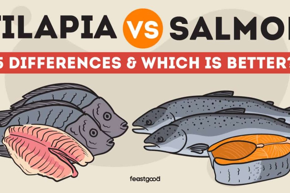 Tilapia Vs. Salmon: 5 Differences & Which Is Better? - Feastgood.Com
