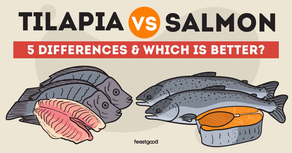 Tilapia Vs. Salmon: 5 Differences & Which Is Better? - Feastgood.Com