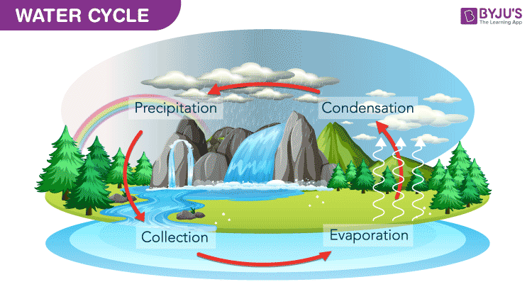 Water Cycle - Process And Its Various Stages