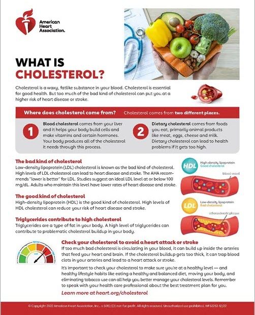Hdl (Good), Ldl (Bad) Cholesterol And Triglycerides | American Heart  Association