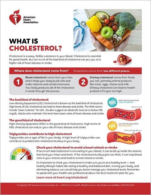 Hdl (Good), Ldl (Bad) Cholesterol And Triglycerides | American Heart  Association