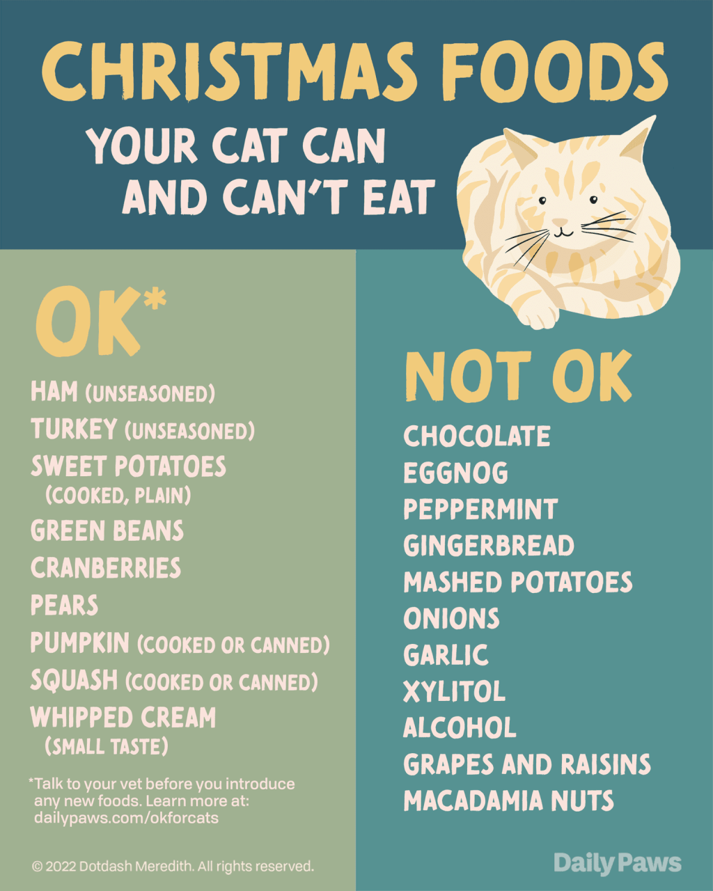 Christmas Foods Cats Can And Can'T Eat, According To A Vet