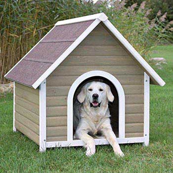 Dog Houses Latest Price From Manufacturers, Suppliers & Traders