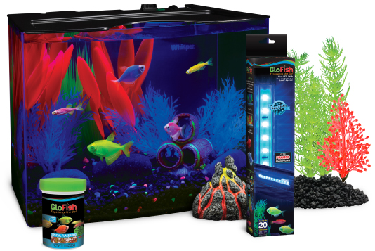 Glofish®. The Most Colorful Pets For The Most Dazzling Aquarium | Glofish®