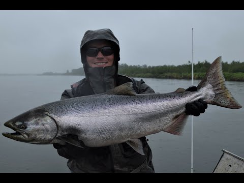 Nushagak River Fishing Articles And Videos