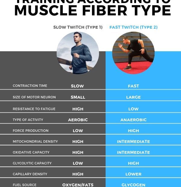 Training According To Muscle Fiber Type | Issa