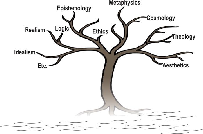 Main Branches Of Philosophy | Elements Of Philosophy
