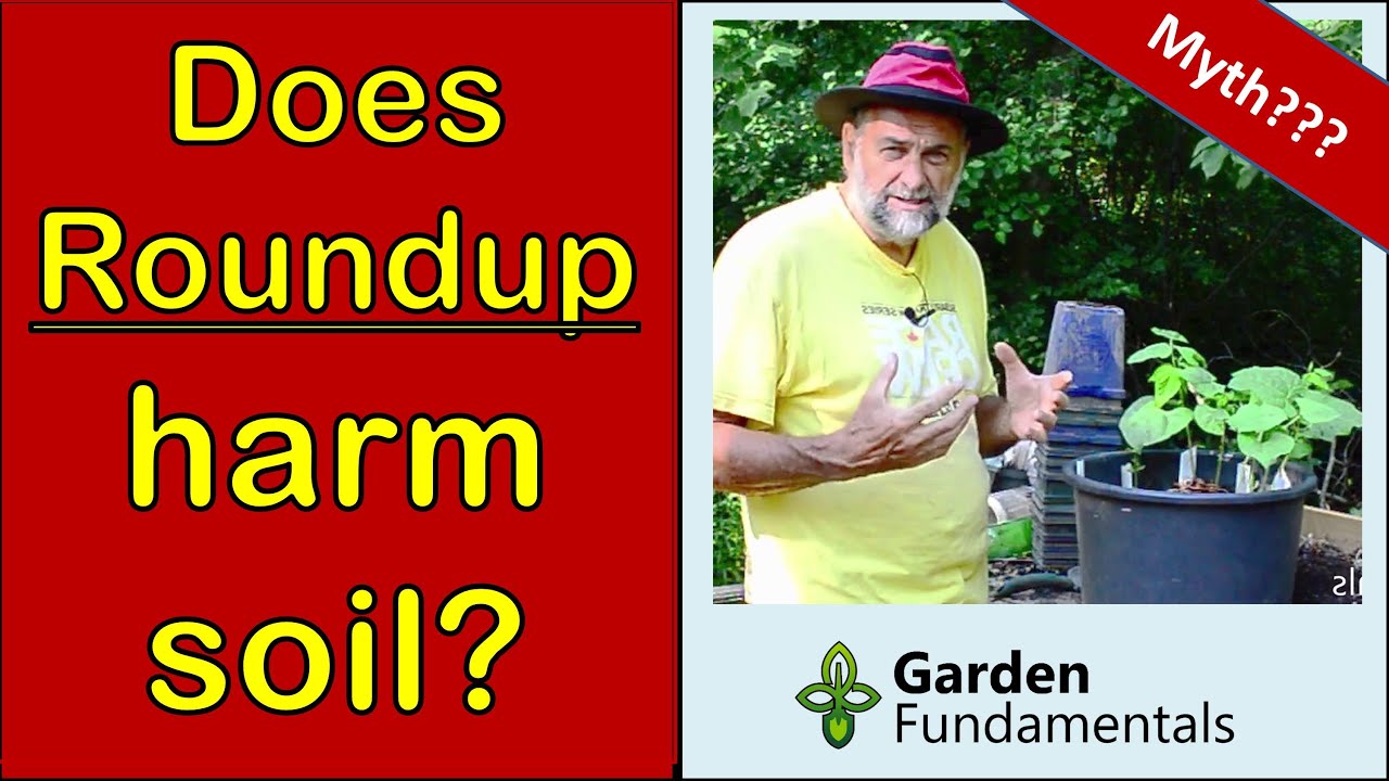 Does Roundup Harm Soil? 🧿️🌽🧿️ How Soon Can You Plant After Spraying? -  Youtube