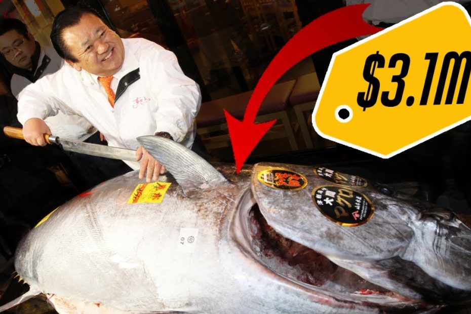 This Is Why Bluefin Tuna Is So Expensive | Very Expensive - Youtube