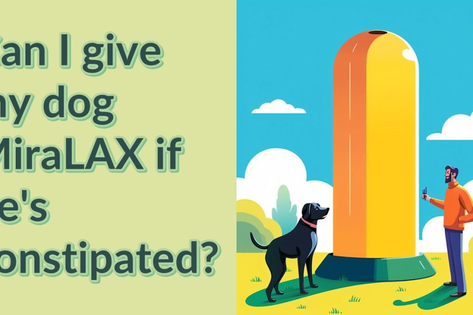 Can I Give My Dog Miralax If He'S Constipated? - Youtube