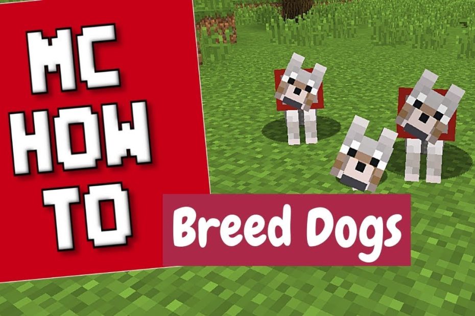 How To Breed Dogs - Minecraft Tutorial - Youtube