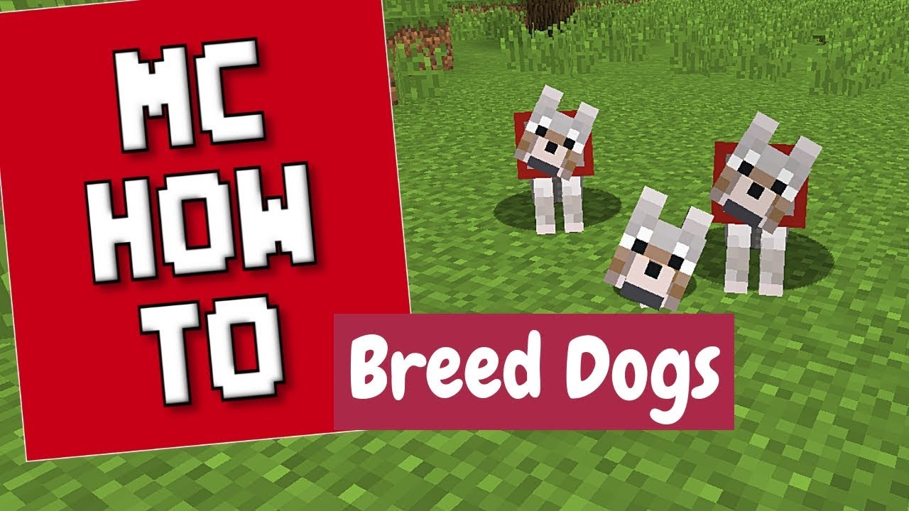 How To Breed Dogs - Minecraft Tutorial - Youtube