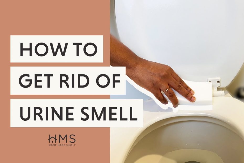 How To Get Rid Of Urine Smell - Youtube