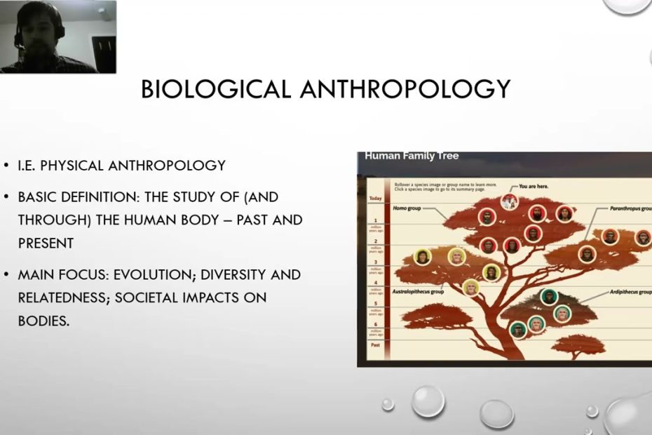 Introduction To Anthropology Lecture 2 Part 4 - Youtube