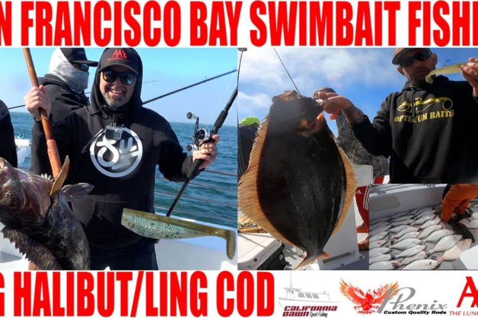 San Francisco Bay Swimbait Fishing -Big Halibut/Ling Cod- - Youtube