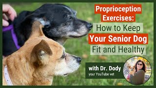 How To Keep Your Senior Dog Fit And Healthy | Proprioception Exercises -  Youtube