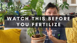 When & Why To Fertilize Houseplants | What Does Fertilizer Really Do For  Your Indoor Plants | Ep 26 - Youtube