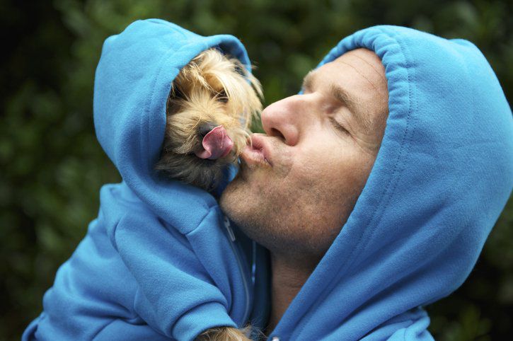 Dog Kisses: Is Your Dog Really Kissing You? - Whole Dog Journal