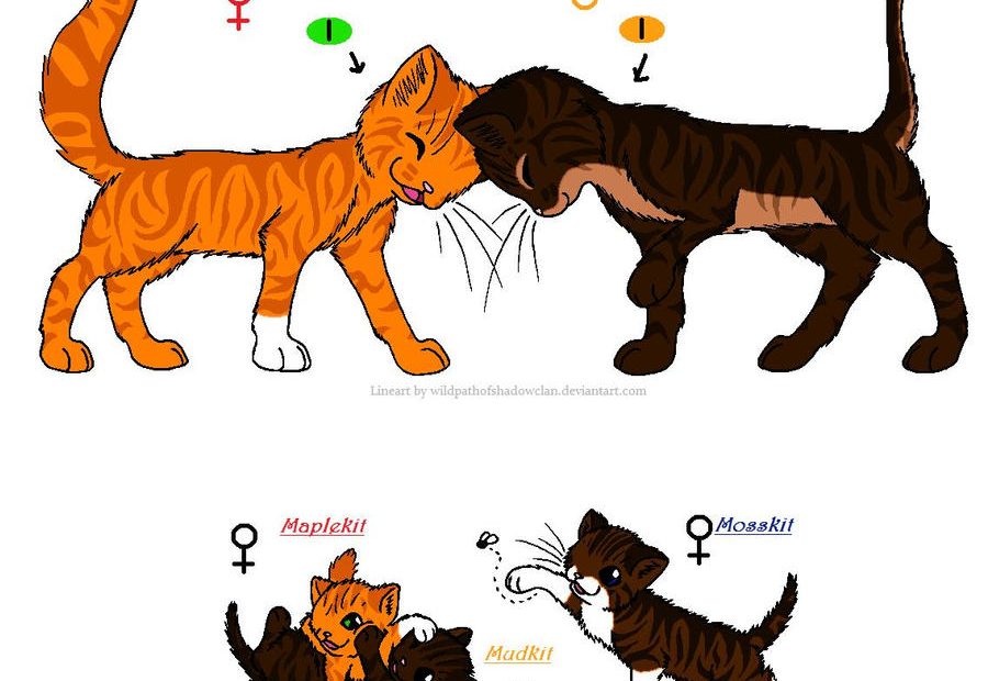 Squirrelflight And Brambleclaw'S Kits By P-E-P-R On Deviantart
