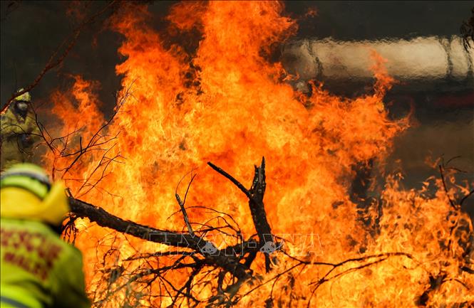 Australia Chi 76 Triệu Aud Để Điều Trị Các Chấn Thương Tinh Thần Do Cháy  Rừng Gây Ra - Ảnh Thời Sự Quốc Tế - Văn Hóa Xã Hội - Thông Tấn
