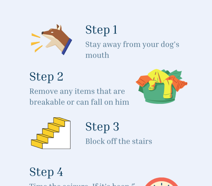 What To Do When Your Dog Has A Seizure | Dog Seizure Protocol