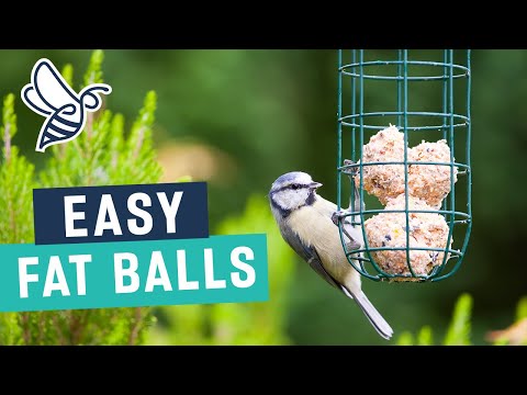 How To Make Easy Fat Balls