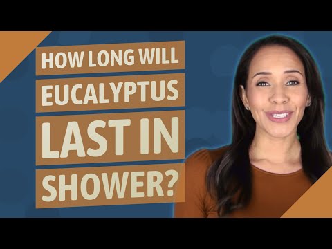 How long will Eucalyptus last in shower?