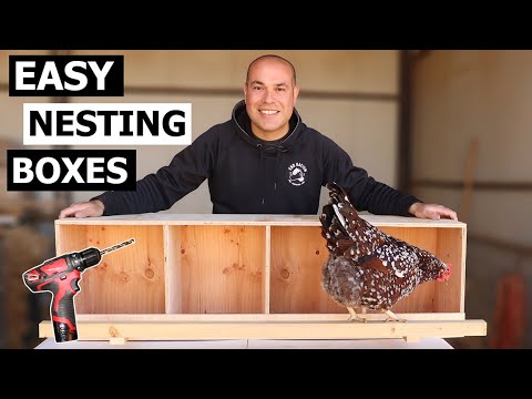 Nesting Boxes for Chickens - How to Build Chicken Nest Boxes