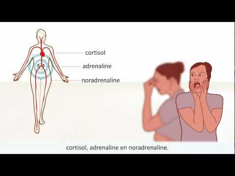Burn-out - Symptomen en behandeling