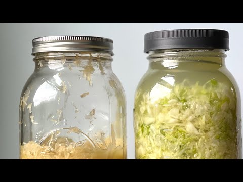 PRESERVING a year’s worth of SAUERKRAUT (Don’t can it!)