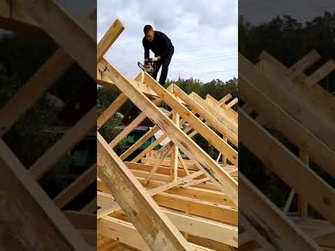 Timber roof construction
