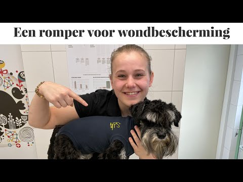 Een romper voor wondbescherming / Medical Pet Shirt | Instructie video