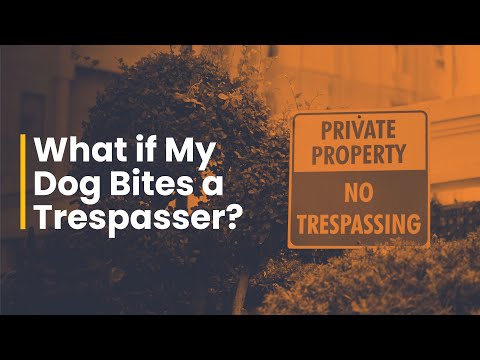 Does California's dog bite law protect trespassers?
