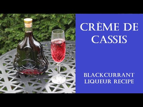 Creme de Cassis blackcurrant liqueur recipe (with Kir Royale)