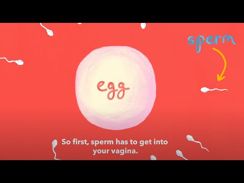 How long does it take to get pregnant after sex? | Planned Parenthood Video