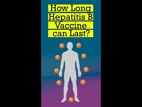 How Long Hepatitis B Vaccine Works | How Long Hepatitis B Vaccine Last