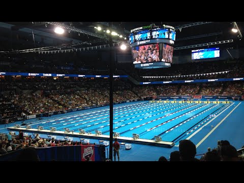 How BIG is an Olympic Swimming Pool?