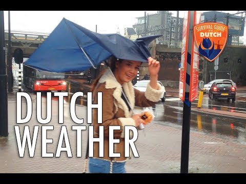 #8 - How to survive the Dutch weather
